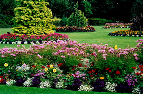 Flower Beds Landscaping